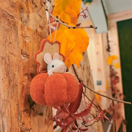 شقة Hide Hub Guest فيليكو ترنوفو