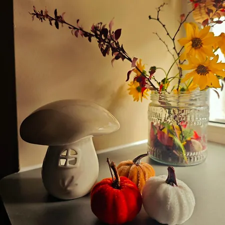 Hide Hub Guest شقة