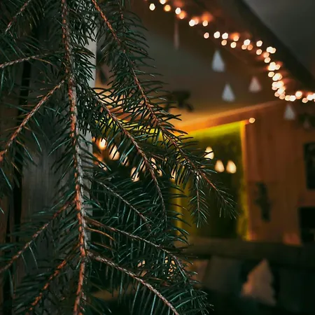 Hide Hub Guest * فيليكو ترنوفو