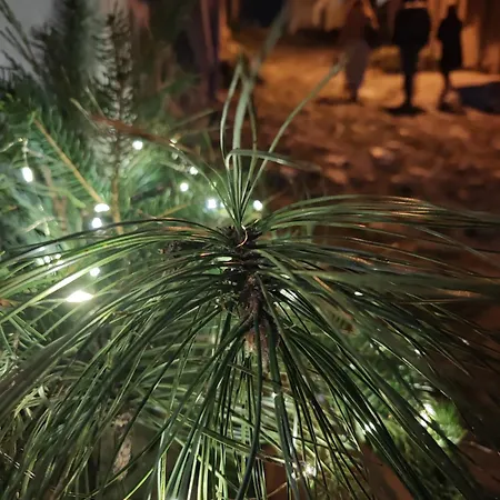 شقة Hide Hub Guest فيليكو ترنوفو