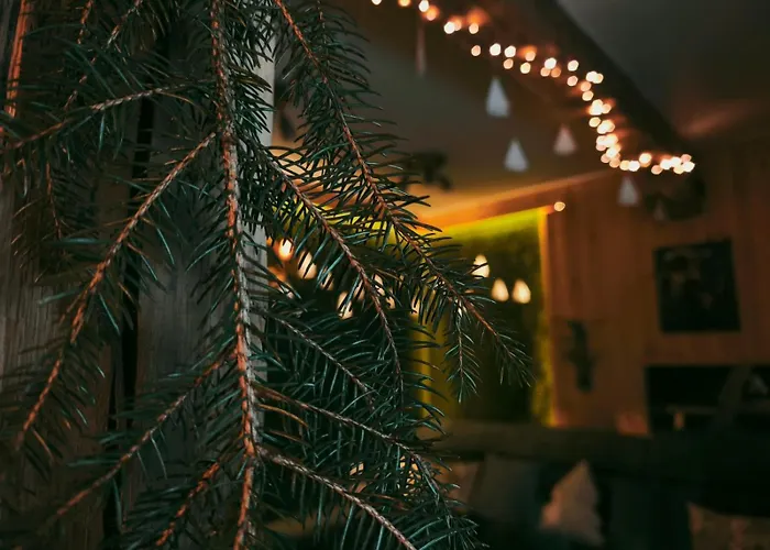 Hide Hub Guest * Veliko Tŭrnovo